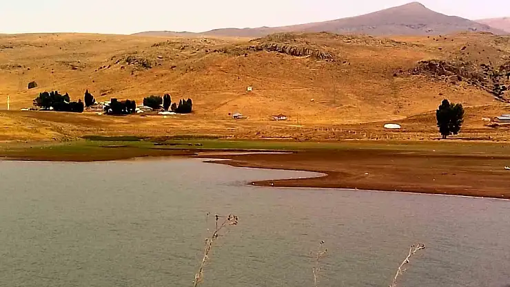 Patnos Barajı'nda su tükeniyor: Ekosistem büyük tehdit altında