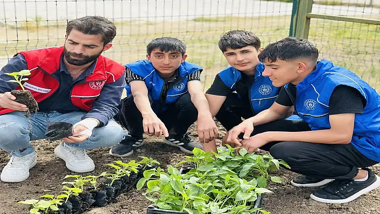 Patnos'ta gönüllü gençlerden doğaya anlamlı katkı