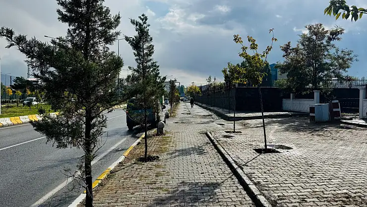 Patnos'ta temizlik mesaisi aralıksız sürüyor