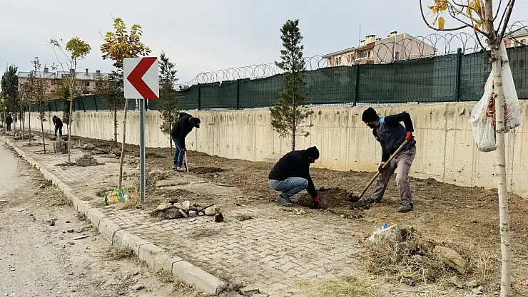 Patnos'ta yeni haftaya saha çalışmalarıyla başlandı