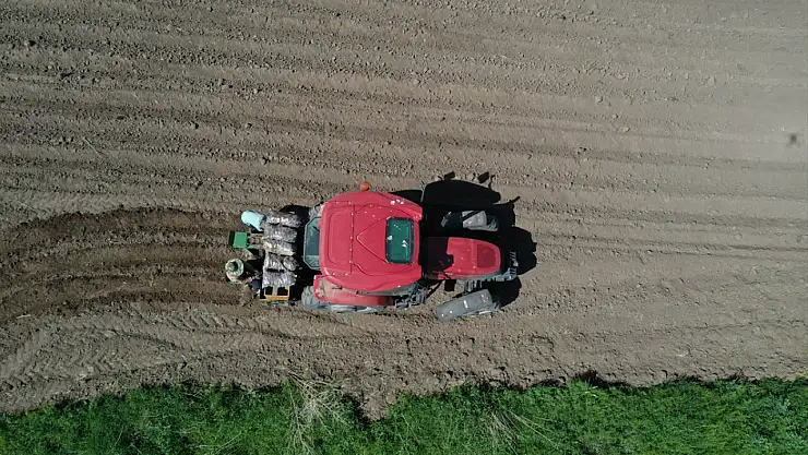 Patnoslu çiftçi, mor patatesle tarıma yeni bir soluk getirdi