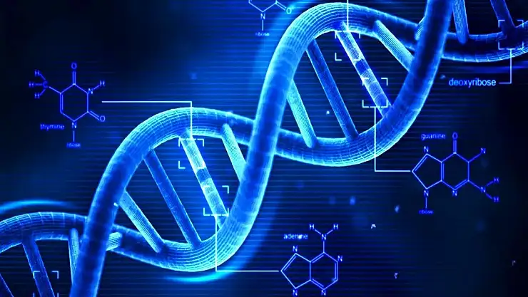 Rekombinant DNA Teknolojisi Nedir?