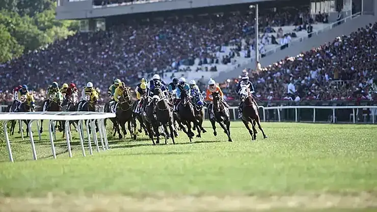 Şanlıurfa'da 19 Mayıs 2025 Tarihli At Yarışlarının Sonuçları Açıklandı!