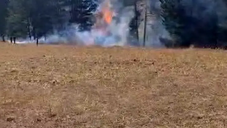 Sarıkamış ormanlarındaki yangın hızlı müdahale ile kontrol altına alındı