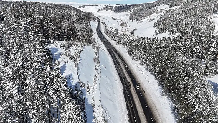 Sarıkamış'ta Sarıçam Ormanları beyaza büründü