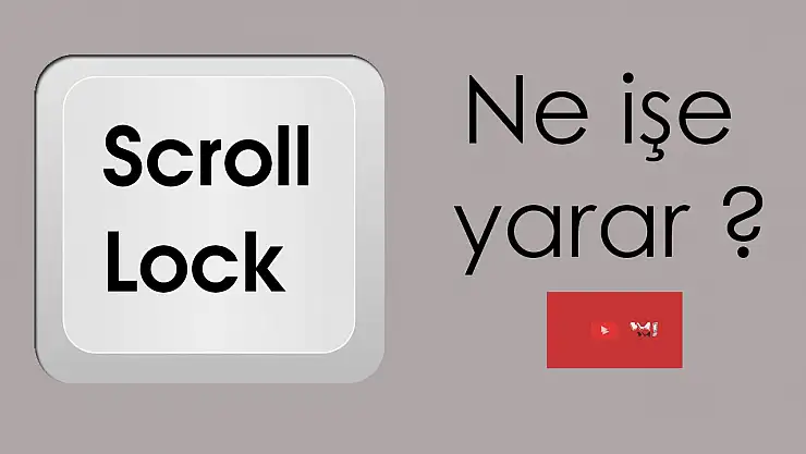 Scroll Ne Demek?