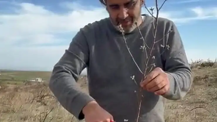 Şehir hayatından sıkılan avukat memleketi Diyarbakır'a dönerek köye yerleşti