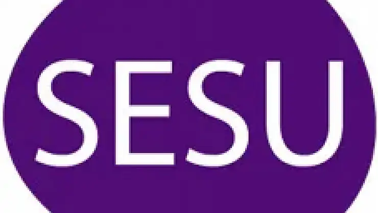 Sesu İsrail'in mi, hangi ülkenin malı? Sesu Türk malı mı, sahibi kim? Sesu kimin markası?