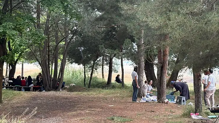 Sıcak havada Ağrılılar piknik alanlarına yöneldi