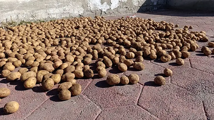 Soğuklar yaklaşırken Ağrı'da kış hazırlığı hız kazandı