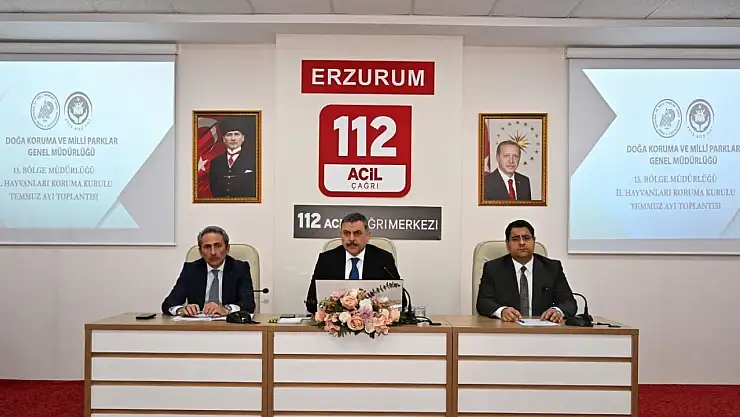 Sokak Hayvanları Üzerine Derinlemesine İnceleme Dikkatler Onlarda