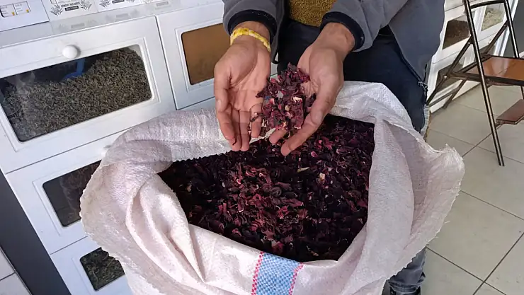 Sonbaharın gelmesiyle Ağrı'da bitki çaylarına talep artıyor
