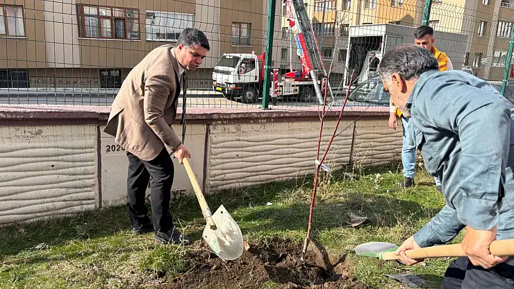 Spor Salonları Meyve Fidanlarıyla Yeşillendi