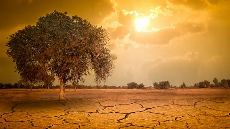 Su Tasarrufu Sağlayarak Sıcak Havayı Yenmenin Yolları