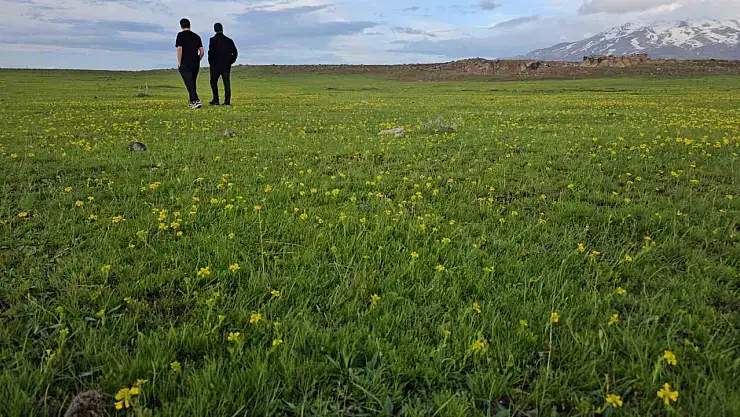 Süphan Dağı eteklerindeki Cil Gölü: Doğanın huzur veren cenneti