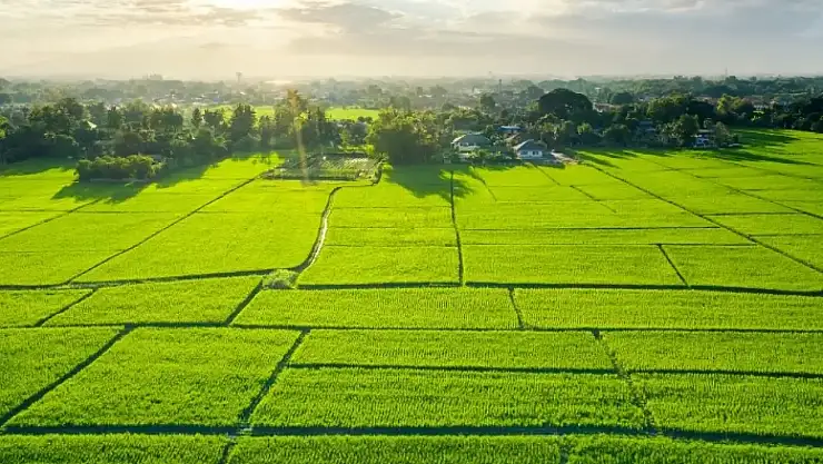 Tarım Arazilerinde Yeni Dönem: Kiralama Sistemi 1 Eylül'de Başlıyor