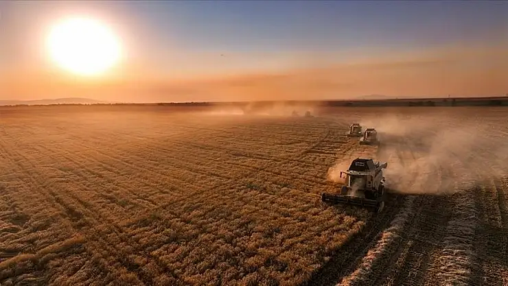 Tarım destekleri hızlandı: Yüz binlerce üreticiye ödeme yapılacak