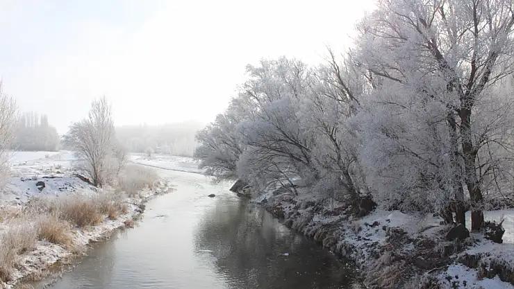 Taşlıçay beyaza büründü, kırağı tutan ağaçlar göz kamaştırdı