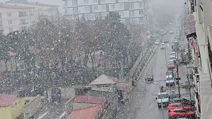 Tatvan'da kar yağışı etkili oluyor