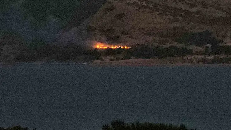 Tatvan'da orman yangını: 5 dönüm alan zarar gördü, soruşturma açıldı