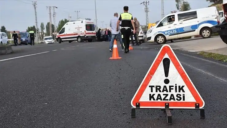 Tatvan'da otomobil sürüye daldı: 12 koyun telef olurken sürücü yaralandı