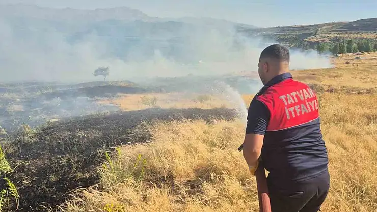 Tatvan'da Piknik Ateşi Yangın Çıkararak 45 Dönüm Alanı Küle Çevirdi