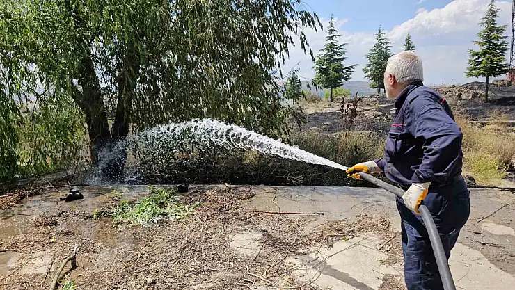 Tatvan'da Yangın: 50 Dönümlük Alan Kül Oldu, Meyve Ağaçları Zarar Gördü