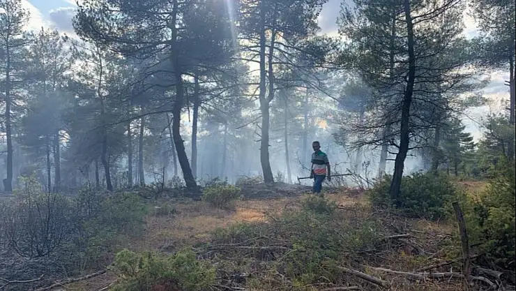 Tavşanlı'daki yangın söndürüldü mü, sebebi ne? Kütahya'da son dakika orman yangını?