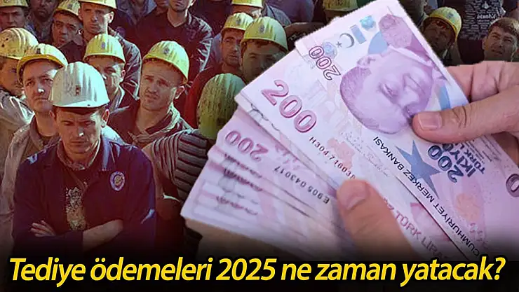 Tediye ödemeleri 2025 ne zaman yatacak?