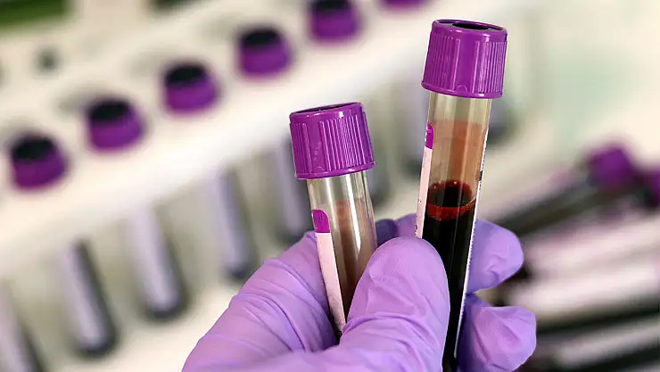 THC-COOH ve MDMA Nedir?