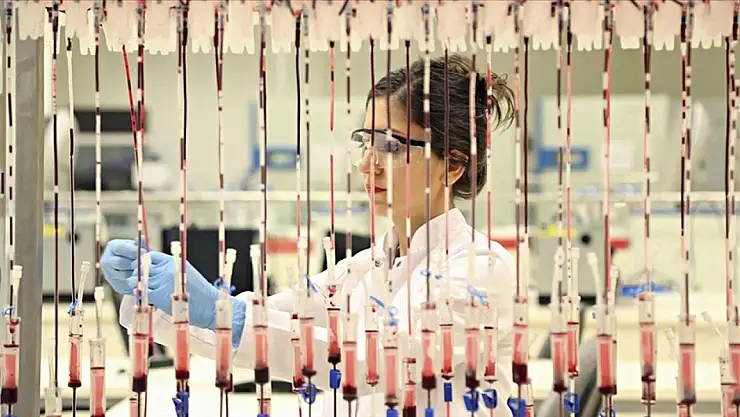 Türk Kızılay'dan Dünya çapında başarı