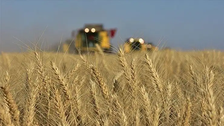 Türkiye, AARIENEA'da ilk kez başkanlık görevine seçildi