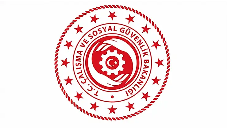 Türkiye'de 2023'te 300 bini aşkın yabancıya çalışma izni verildi