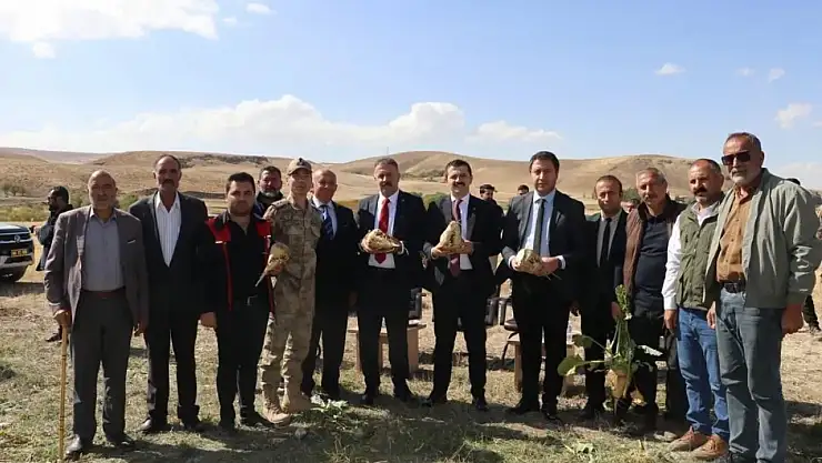 Tutak'ta pancar tarlalarında bereketli sezon başladı