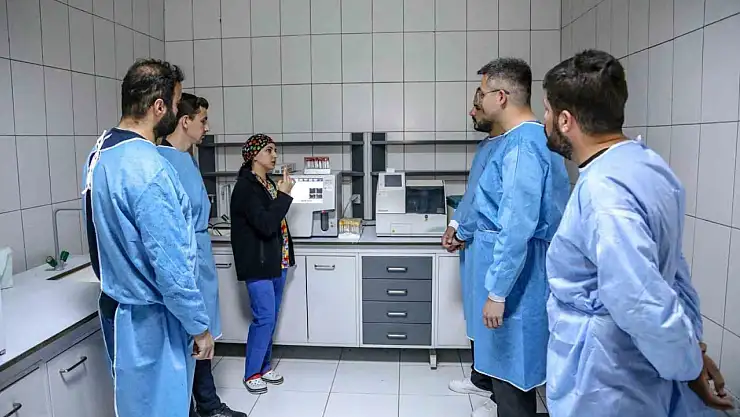 Üniversite öğrencileri hayvan bakım evinde uygulamalı eğitim alıyor