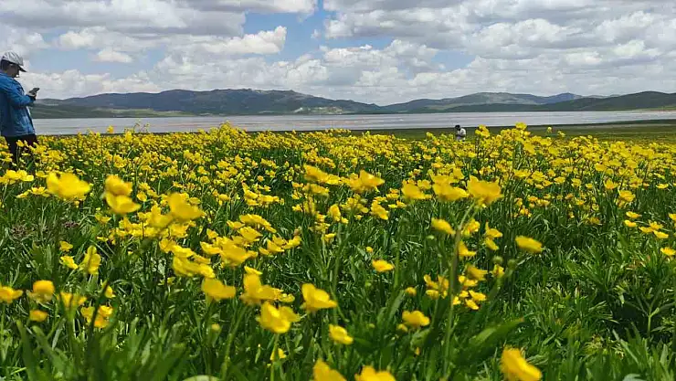 Urartu Mirası: Van'daki Keşiş Gölü ve Yaylası Doğal Güzelliğiyle Büyülüyor