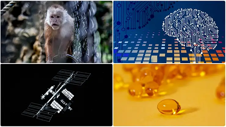 Uzay istasyonunda bulunan mikrop dünya dışı yaşam için ipucu mu?