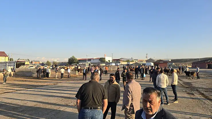 Uzun aradan sonra Ağrı'da Hayvan Pazarı yeniden açıldı