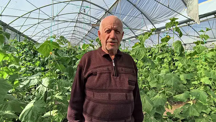 Uzundere'deki dev sera, yaz-kış sebze üretimiyle bölge ekonomisine katkı sağlıyor