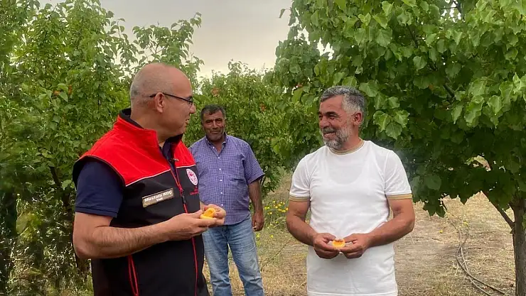 Vali Koç, Ağrı Dağı'nın eteklerindeki meyve bahçesini ziyaret etti