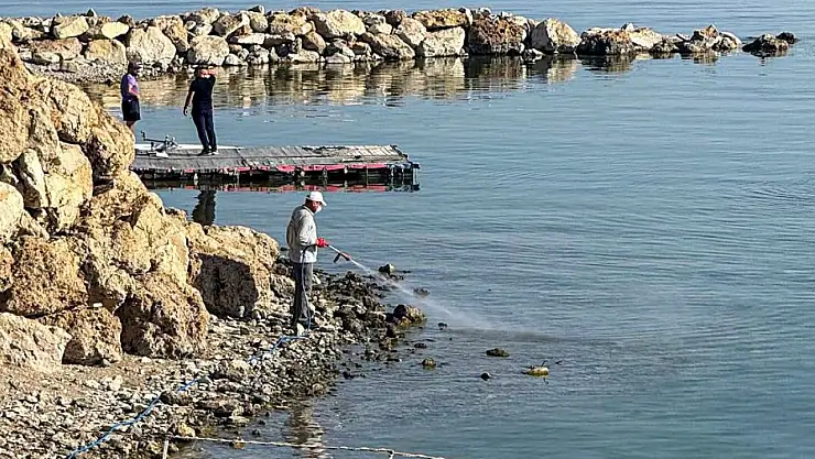Van Belediyesi, yaz boyunca zararlılarla yoğun mücadele sürdürüyor