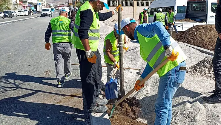 Van Büyükşehir Belediyesi'nden yeşil dönüşüm Mareşal Fevzi Çakmak Caddesi modernleşiyor