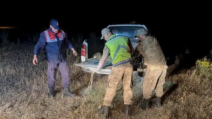 Van'da 1,5 ton inci kefali kaçak avcıların elinden kurtarıldı