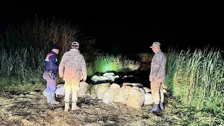 Van'da 15 ton kaçak inci kefali balığı ele geçirildi, 29 kişiye ceza kesildi