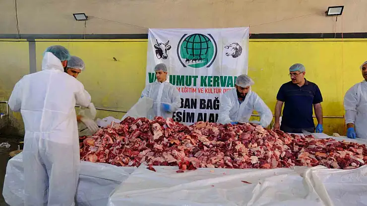 Van'da 19. geleneksel toplu kurban kesimi etkinliği gerçekleştirildi
