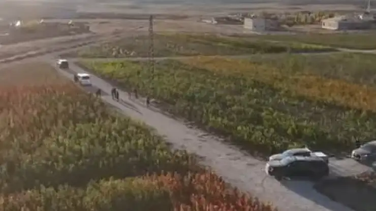 Van'da 3,5 Milyon Meyve Fidanı Toprakla Buluşuyor