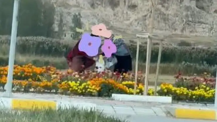 Van'da Çiçeklerin Doğal Güzelliğine Saygı Çağrısı