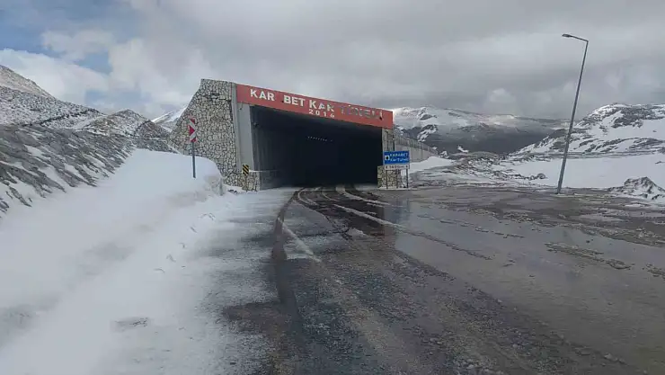 Van'da Doğanın Farklı Yüzü: Dağlarda Kar, Ovalarda Çiçek