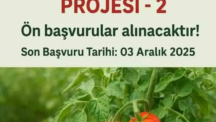 Van'da Domates Yetiştiriciliği Projesi Başvuruları Başladı, Son Tarih 3 Aralık 2025!