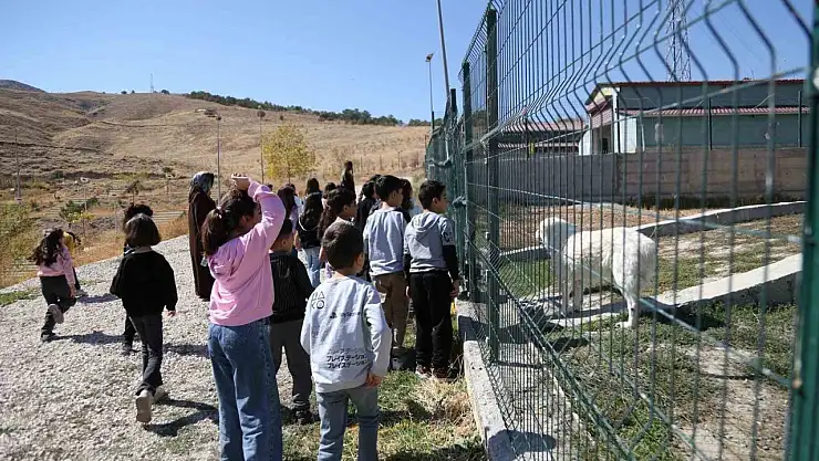 Van'da Dünya Hayvanları Koruma Günü'nde çocuklar için hayvan sevgisi etkinliği düzenlendi